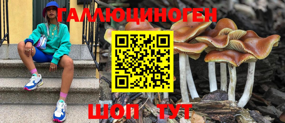 Галлюциногенные грибы MAGIC MUSHROOMS  Вход с VPN  купить  цена  Тимашёвск 