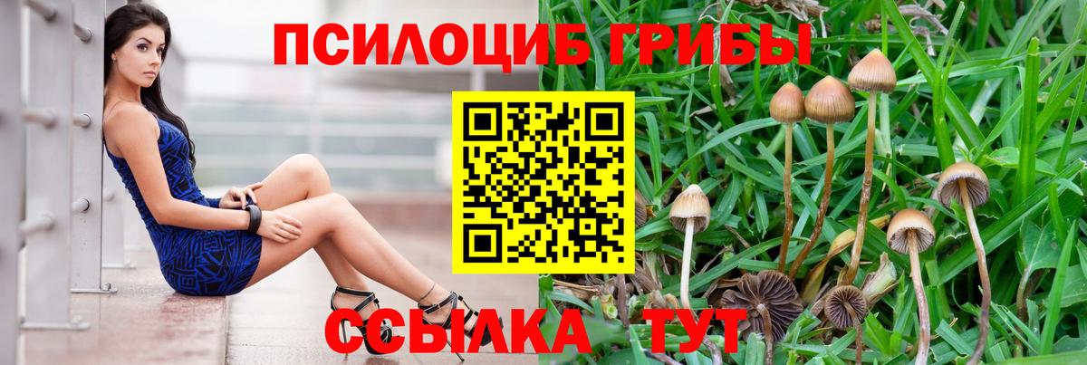 Псилоцибиновые грибы Magic Shrooms Тимашёвск